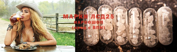 прущий лед Аркадак
