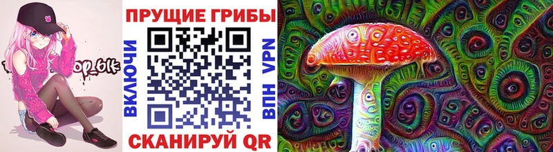 Псилоцибиновые грибы ЛСД Нововоронеж